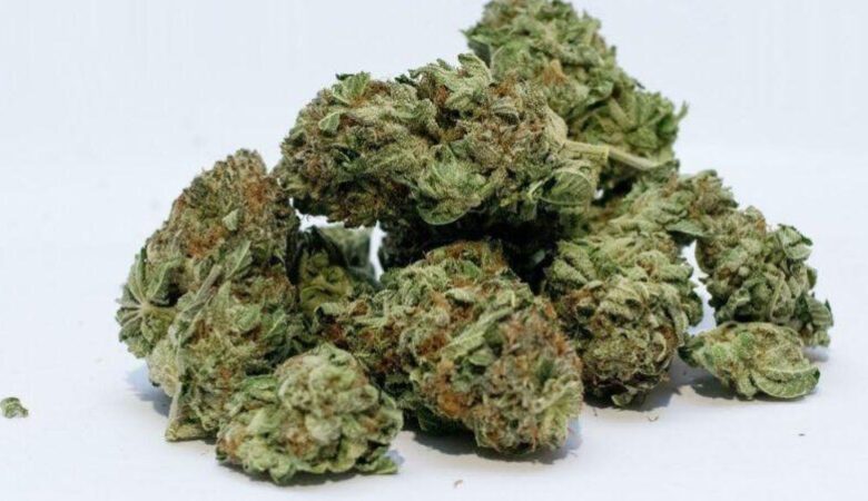 morro bay cannabis, cannabis stores morro bay, buy cannabis morro bay, morro bay dispensaries, cannabis delivery morro bay, medical cannabis morro bay, recreational cannabis morro bay, cannabis guide morro bay, california cannabis morro bay, cannabis products morro bay