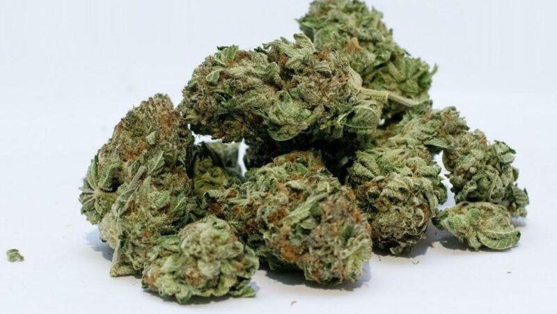 morro bay cannabis, cannabis stores morro bay, buy cannabis morro bay, morro bay dispensaries, cannabis delivery morro bay, medical cannabis morro bay, recreational cannabis morro bay, cannabis guide morro bay, california cannabis morro bay, cannabis products morro bay